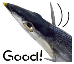 Fresh fish sticker sticker #14131437