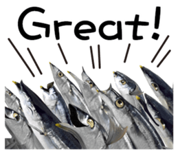 Fresh fish sticker sticker #14131438