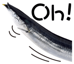 Fresh fish sticker sticker #14131439