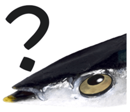 Fresh fish sticker sticker #14131442