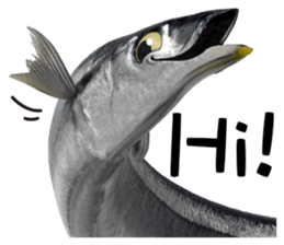 Fresh fish sticker sticker #14131445