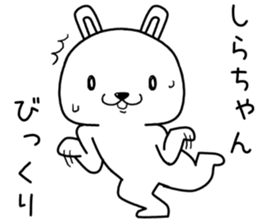 shirachan send Sticker sticker #14131895