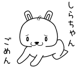 shirachan send Sticker sticker #14131900