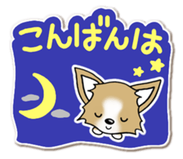 Chihuahua's Sticker! Season's greetings sticker #14132168