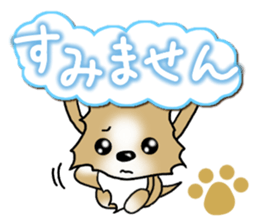 Chihuahua's Sticker! Season's greetings sticker #14132172