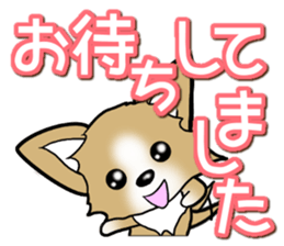 Chihuahua's Sticker! Season's greetings sticker #14132176