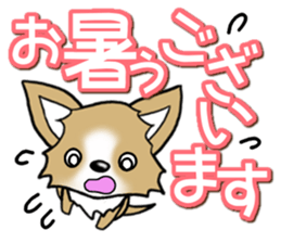 Chihuahua's Sticker! Season's greetings sticker #14132182