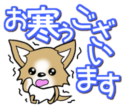 Chihuahua's Sticker! Season's greetings sticker #14132184