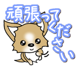 Chihuahua's Sticker! Season's greetings sticker #14132189