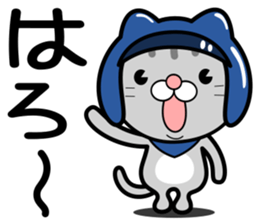 Cat rider Sticker sticker #14132318