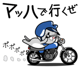 Cat rider Sticker sticker #14132347