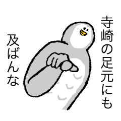 Owl's name is Terasaki