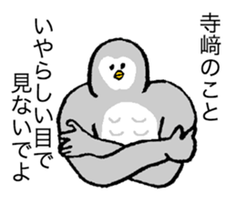 Owl's name is Terasaki sticker #14132519