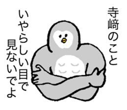 Owl's name is Terasaki sticker #14132519
