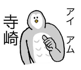 Owl's name is Terasaki sticker #14132540