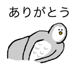 Owl's name is Terasaki sticker #14132544
