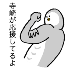 Owl's name is Terasaki sticker #14132547