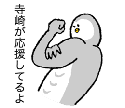 Owl's name is Terasaki sticker #14132547