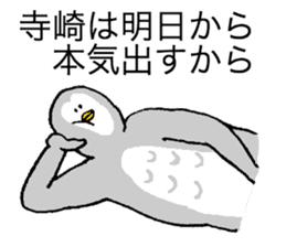 Owl's name is Terasaki sticker #14132555