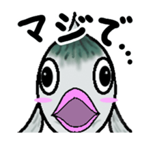 Sabami moving sticker #14134474