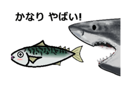 Sabami moving sticker #14134476