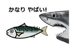 Sabami moving sticker #14134476