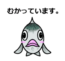 Sabami moving sticker #14134479