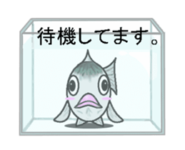 Sabami moving sticker #14134485