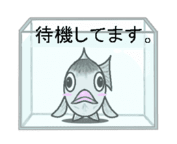 Sabami moving sticker #14134485