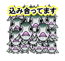 Sabami moving sticker #14134486