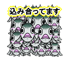 Sabami moving sticker #14134486