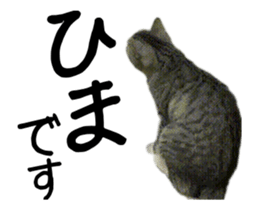 This stickers various collective pack. sticker #14136204