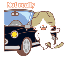 Cat and convertible sticker #14136579