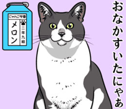 Nyanko school(PART8) sticker #14136727