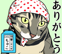 Nyanko school(PART8) sticker #14136739