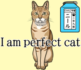 Nyanko school(PART8) sticker #14136744