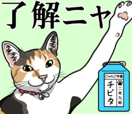 Nyanko school(PART8) sticker #14136747