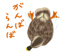 From NIIGATA,JPN sticker #14136830