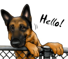 German Shepherd Dogs. Part5. sticker #14137974