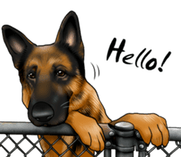 German Shepherd Dogs. Part5. sticker #14137974