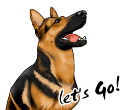 German Shepherd Dogs. Part5. sticker #14137975