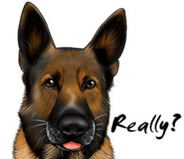 German Shepherd Dogs. Part5. sticker #14137976