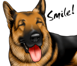 German Shepherd Dogs. Part5. sticker #14137977