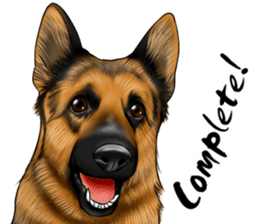 German Shepherd Dogs. Part5. sticker #14137979