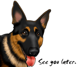German Shepherd Dogs. Part5. sticker #14137982