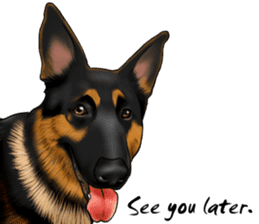 German Shepherd Dogs. Part5. sticker #14137982