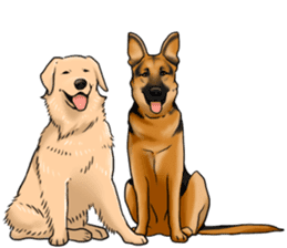 German Shepherd Dogs. Part5. sticker #14137983