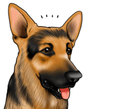 German Shepherd Dogs. Part5. sticker #14137984