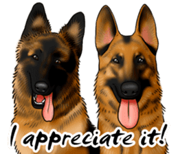 German Shepherd Dogs. Part5. sticker #14137985