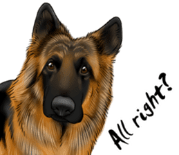 German Shepherd Dogs. Part4. sticker #14138011